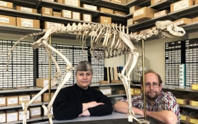 Dr Karen Greig, Co-Director of the Southern Pacific Archaeological Research unit and Dr Nic Rawlence, Director of the Otago Palaeogenetics Laboratory in the Department of Zoology
