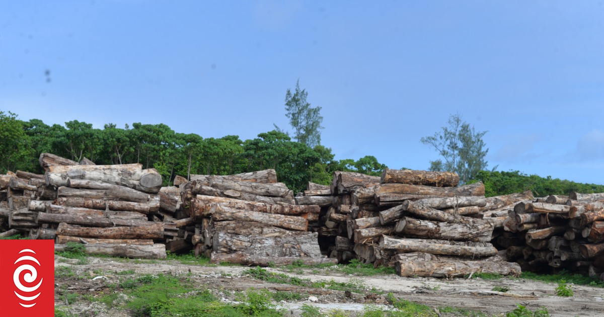 Landowners on Vanuatu's Santo demand payment for trees felled on their land - Vimarsana News