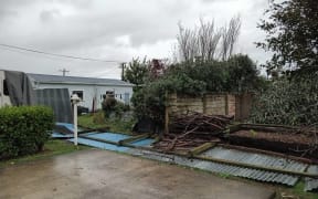 Damage to a fence and trees at the Top 10 Holiday Park in Levin on 8 April 2025 after a mini tornado hit the area.