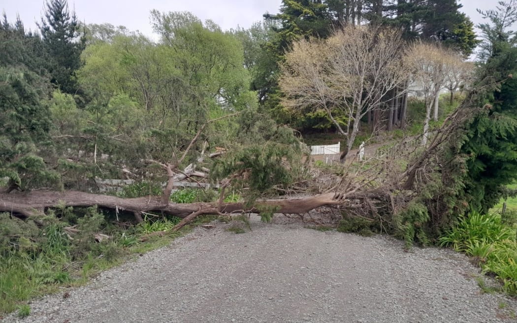 A strong wind warning is in place in Tararua district for severe gales gusting to 120km per hour.