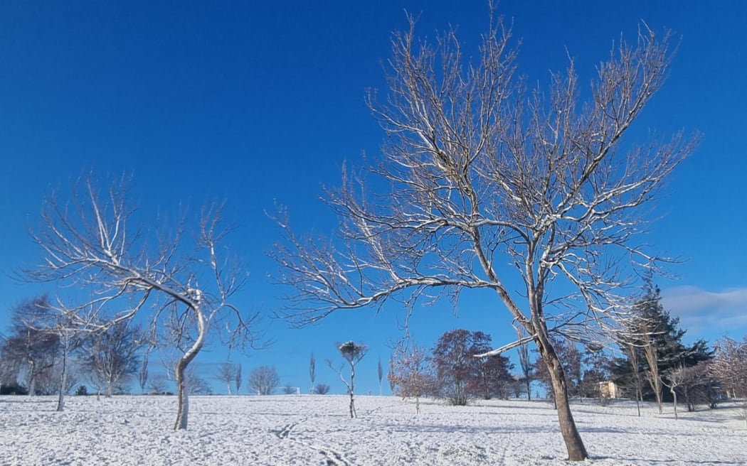 Snow in Dunedin on 10 August 2023