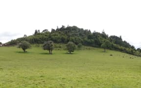 The Onoke Heights site at Te Kamo with the bush-clad Onoke Scenic Reserve on the hilltop in the distance.