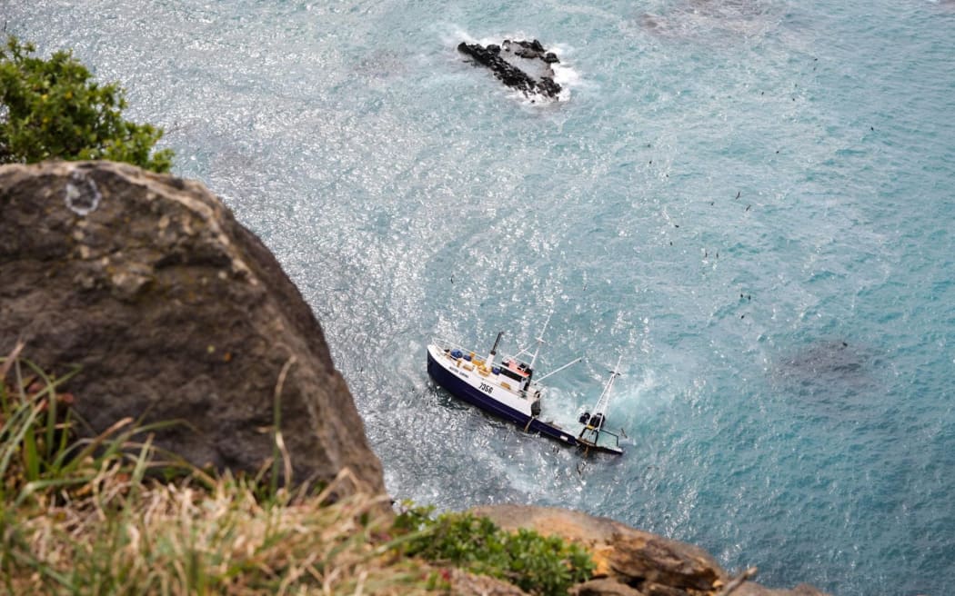 Austro Carina at Banks Peninsula.