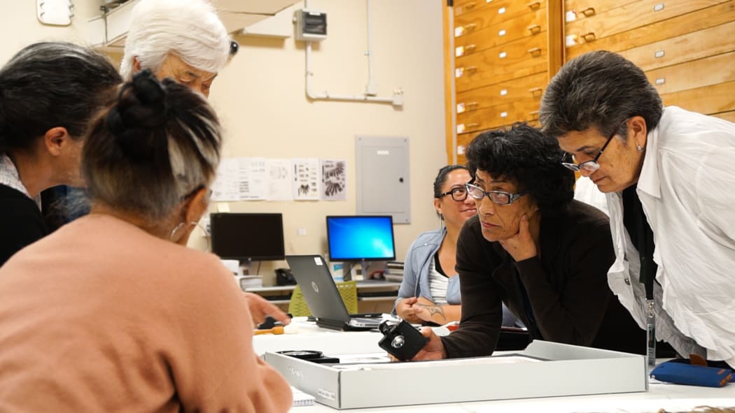 Awhina Tamarapa, Lisa McKendry, Dr Maureen Lander, Hikitia Harawira, Rangi Te Kanawa and Christina Wirihana observing another piece of work.