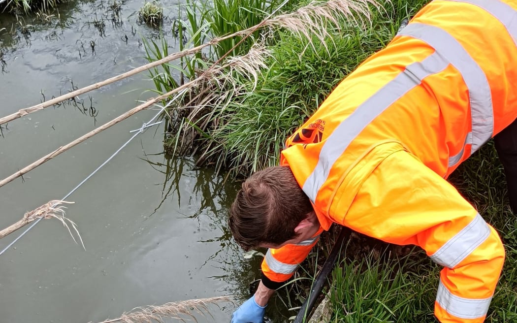 Waikato Regional Council officer sampling contamination.