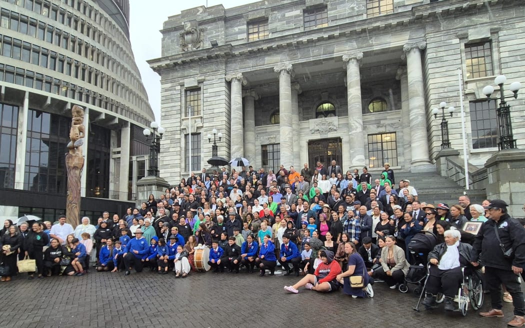 Eight iwi of Taranaki at parliament re Taranaki Maunga