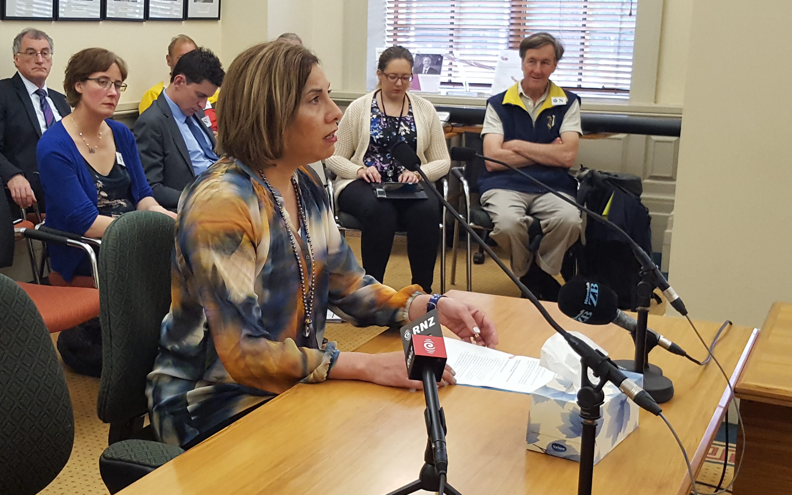Wellington GP Mary English speaks at a select committee hearing into euthanasia.