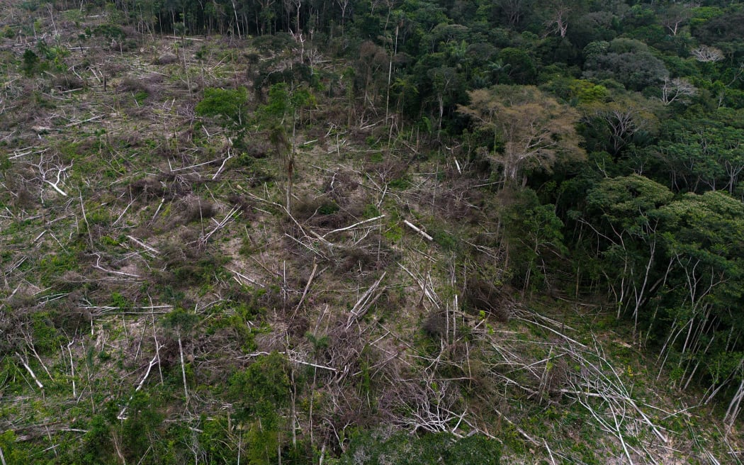A section of deforestation is pictured near La Paz, Guaviare department, Colombia.