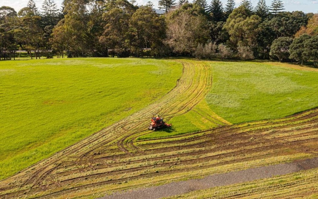 Mow mows top
