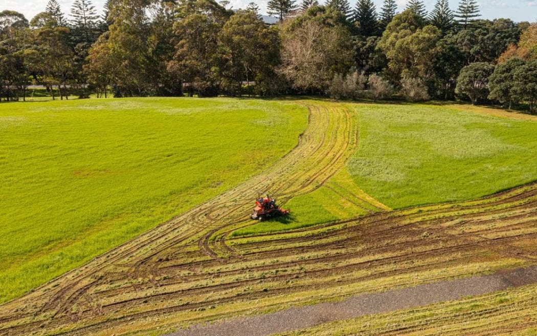 Devonport-Takapuna Local Board chairperson Toni van Tonder said the contractor had displayed poor judgement in deciding to mow the “sodden” grass.