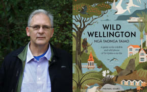 Author Michael Szabo is on the left. The right hand side is the cover of his book Wild Wellington. Michael looks to be in his 60s. He is wearing a pair of glasses, a blue striped shirt with a black sports coat over the top. The book cover is an abstract illustration of wellington mostly in green and blue.