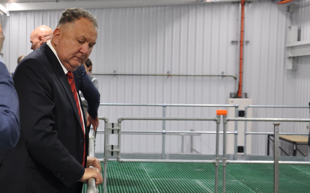 Minister for Oceans and Fisheries Shane Jones examines the flume tank at Plant & Food in Nelson. Samantha Gee/RNZ.