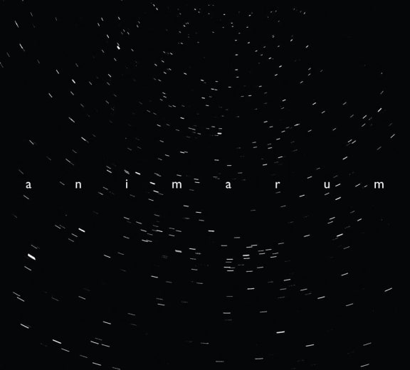 Animarum