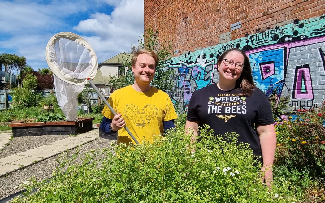 Pollinator workshop co-ordinators Connal McLean and Dr Jenny Jandt look for bugs at the Archibald Baxter Peace Garden, near Otago Museum.