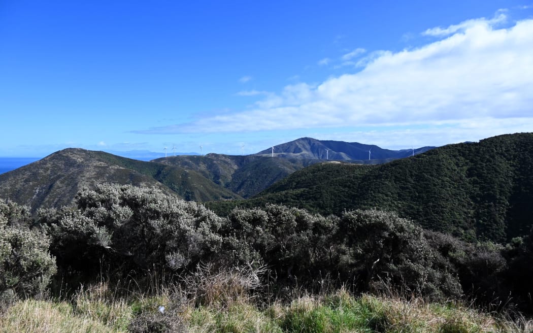 Kiwis' new_Wellington_home