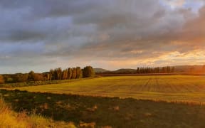 Newly sown winter crops in Autumn