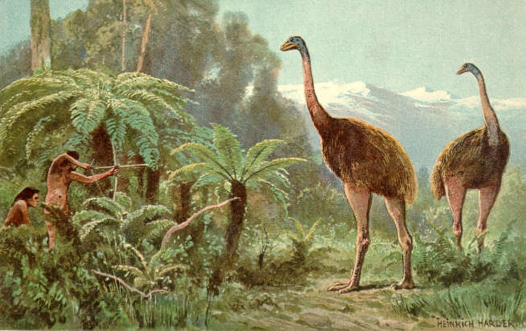 Moa illustration by Heinrich Harder