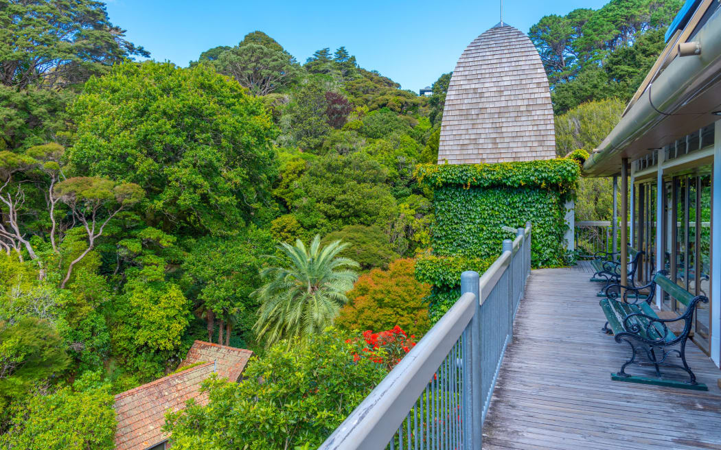 Wellington Botanic Garden Treehouse in New Zealand