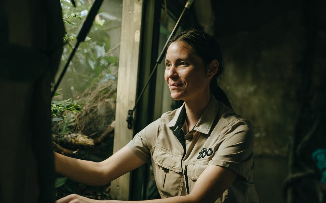 A woman in a khaki safari-style short-sleeved shirt looks into the window of a zoo enclosure with green vegetation visible.