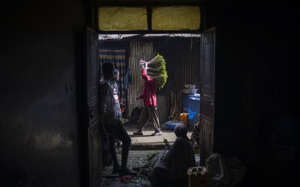 Traders Caption: Traders transport khat branches at a khat market in Aweday, Ethiopia, on April 15, 2024. The plant-based recreational stimulant is commonly chewed throughout the Horn of Africa. Mandatory Credit: Michele Spatari/AFP/Getty Images via CNN Newsource