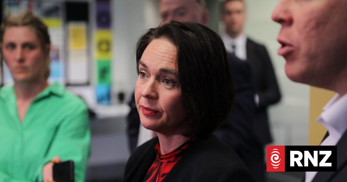 Labour to pause government’s school curriculum overhaul, NCEA changes if elected