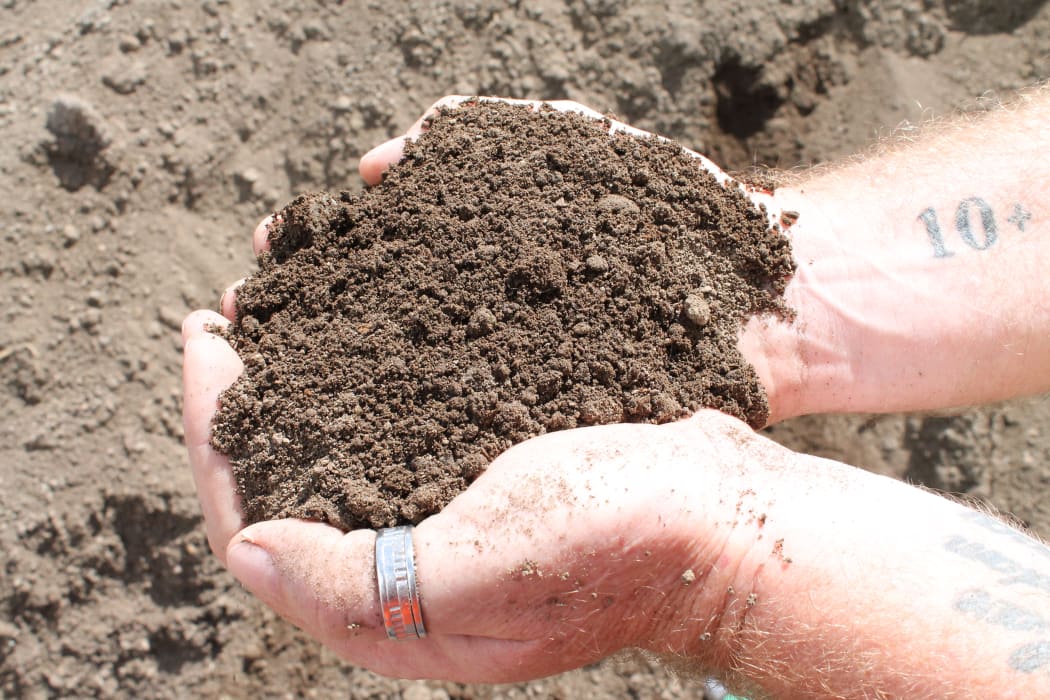 Vermicast