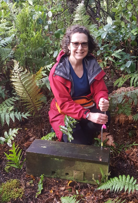 Our Changing World producer Alison Ballance helping check stoat traps in Fiordland.