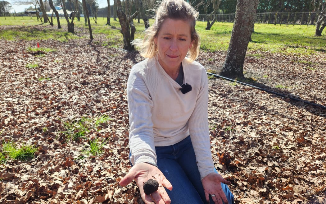 Nikki Dodd kneeling among trees with hand outstretched holding a truffle, newly-dug from the soil