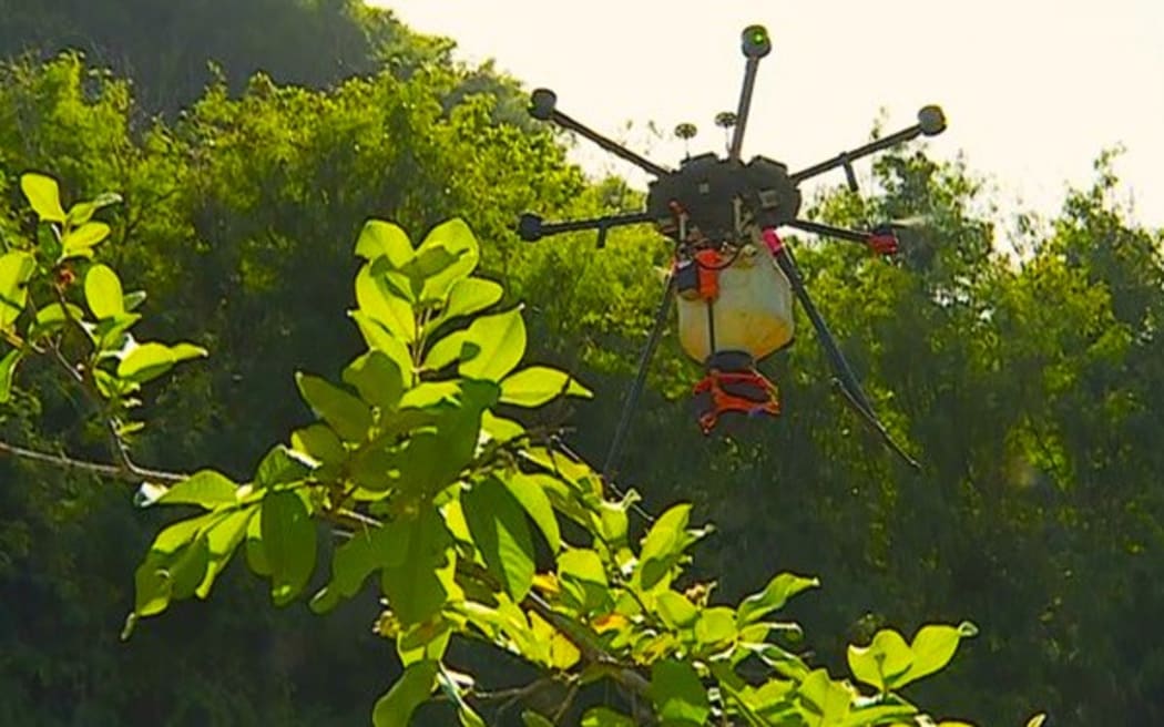 Drones are also used against fire-ants - Photo Polynésie la 1ère