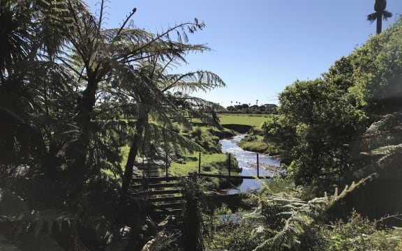 Stephanie is assessing culverts and streams along the South Island's West Coast as part of her research.
