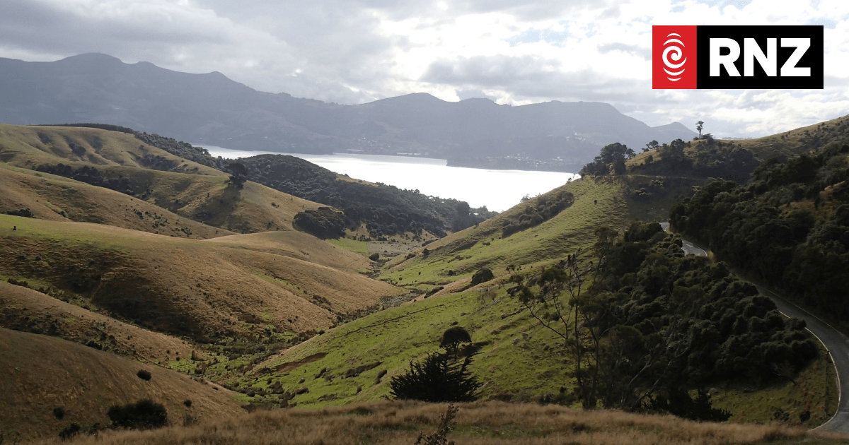 Much of NZ 'dotted' with little-known volcanoes, scientist reveals - Vimarsana News