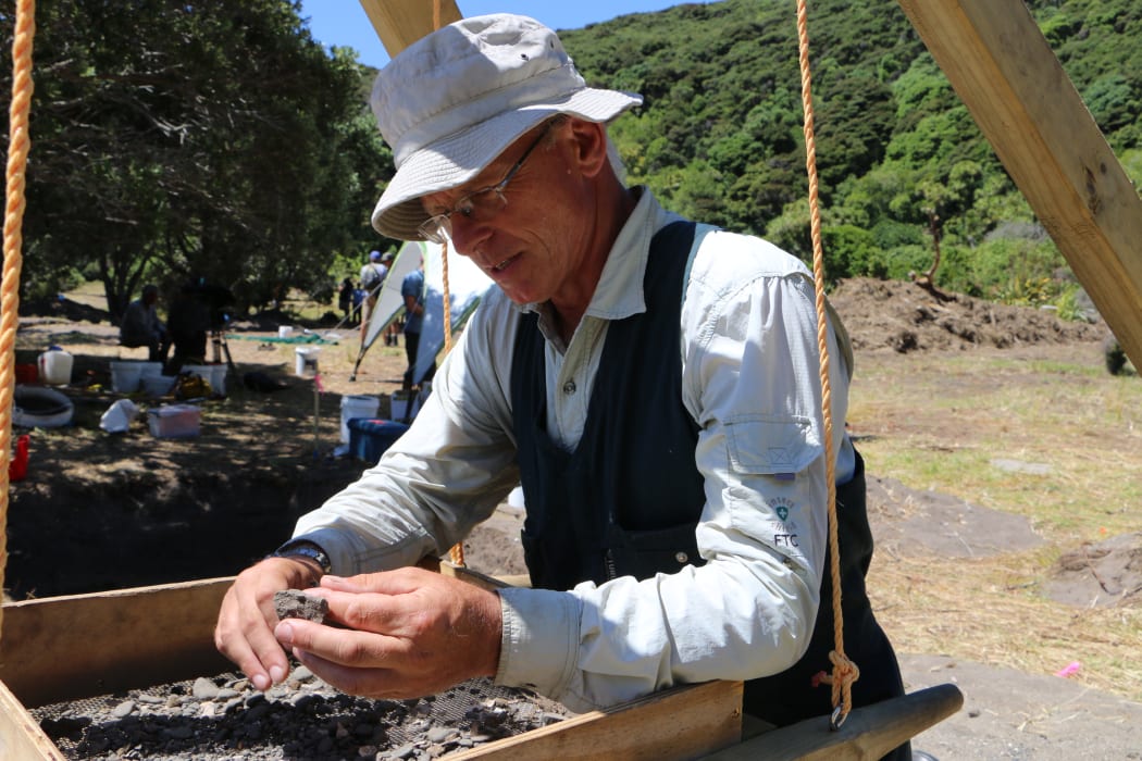 Lead archaeologist Dr James Robinson at the dig site at Mangahawea Bay on Moturua Island.