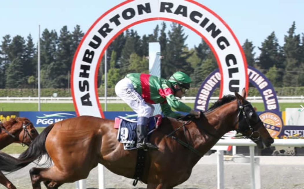 Young jockey dies after race collision at Ashburton Raceway RNZ News