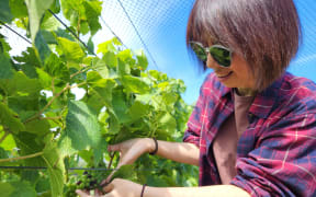 Fang Mei fell in love with wine while working as a banker. She now grows her own grapes, has launched her own label, and represents several New Zealand brands in China.