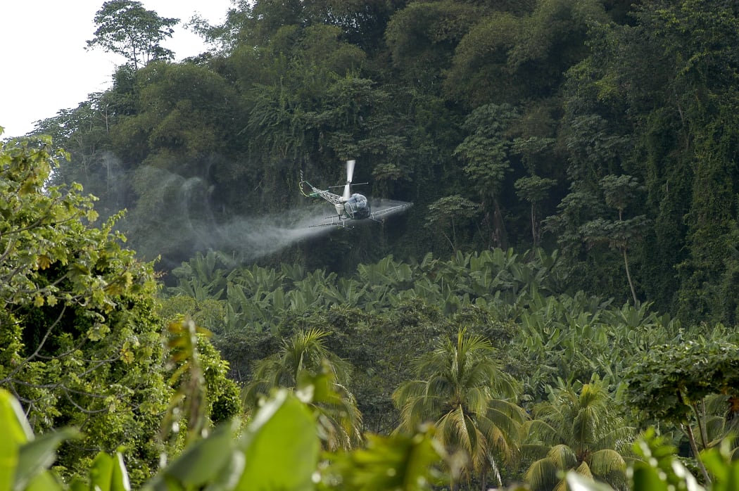 Plant health air spreading on banana plantations Martinique.