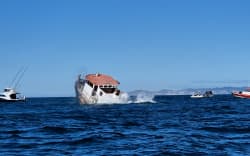 The vessel ‘Twofold Bay’ was sunk on 18 June 2026 to create an artificial reef off the coast of Napier in the Hawke’s Bay