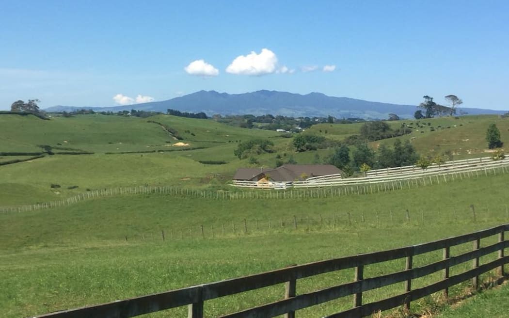 A view of the Pirongia Hills in the distance above rolling hills.