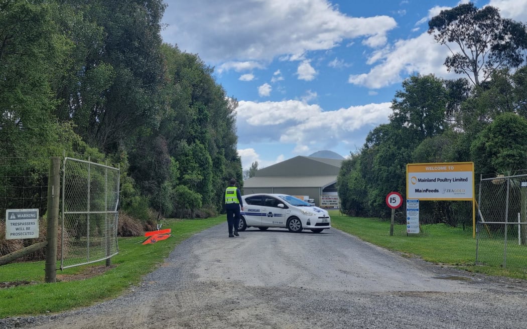 Mainland Poultry in Waikouaiti, pictured on 3 December 2024.