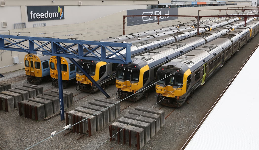 Wellington Matangi trains have been pulled from service for an urgent inspection.