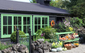 Lynda Hallinan's autumn garden