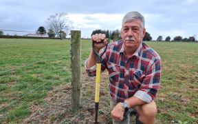 Te Puninga farmer Peter Le Heron kneels on dry ground and holds a spade.