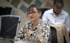 Te Tatau o Te Arawa manahautū (chief executive) Jude Pani.