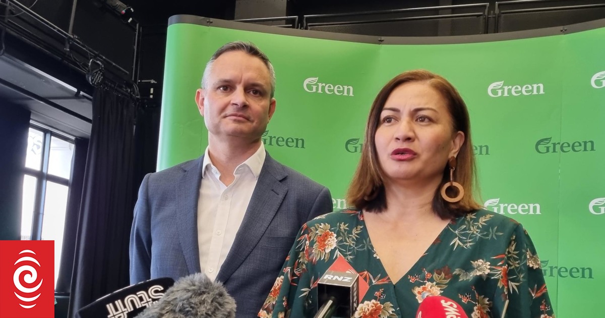 Green Party's pledge to renters: What you need to know | RNZ News