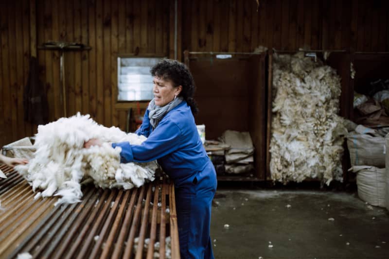 An image from a recent Shepherdess magazine edition.