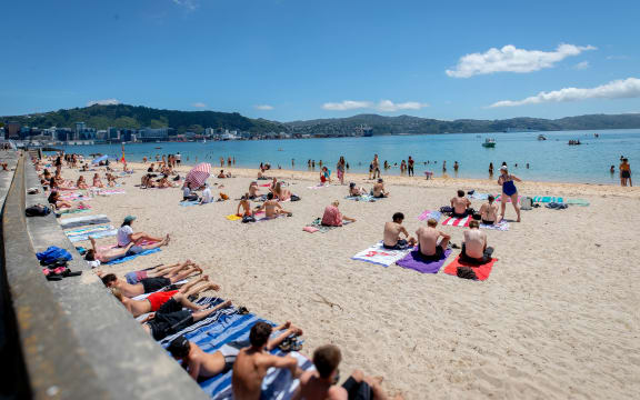 oriental parade wellington nz-1