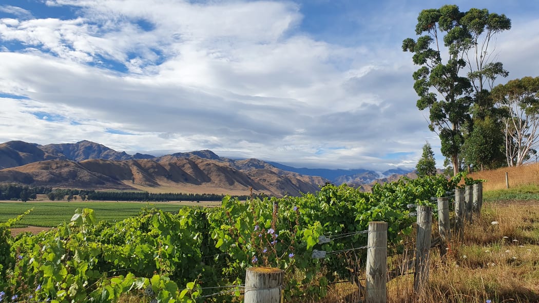 Marlborough
