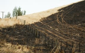 A vegetation fire has burnt through land and fences on Waikari Valley Road in Canterbury. Photo taken - 19 February 2024.