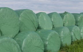 Hay bales wrapped in plastic