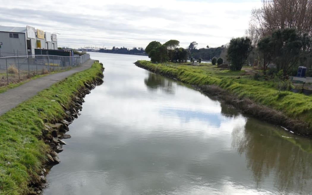 The stream, near Birch Ave, runs into Tauranga Harbour.