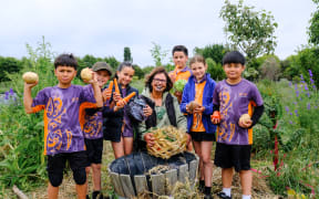 Rangimarie Parata Takurua and pononga (students) harvesting food in the māra kai (garden for food) at Te Pā o Rākaihautū.  Left to right: Kade Te Whata-Kururangi, Deegan McGarr, Hineterā Davis, Rangimarie, Wahawaha Winiata, Celia Williams and Hawaiki Jones-Fiso.